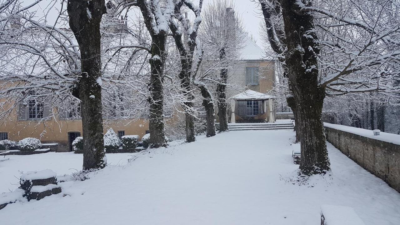 Chateau De Mauvilly Panzió Kültér fotó